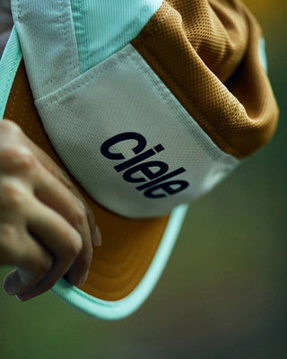 ALZCap - Standard Corp - Sutton