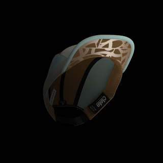 ALZCap - Standard Corp - Sutton